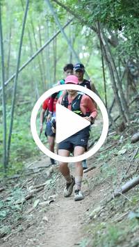 BIB:  <button type="button" onclick="openModal(28039622)" class="btn btn-primary btn-sm float-right" data-toggle="modal" data-target=".modal-high-quality">
                <i class="fa fa-download"></i> Download
                </button>